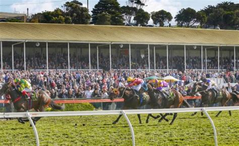 racenet race fields|Australian horse racing fields, track and weather information  .